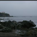 보나미(BON AMI) 이미지