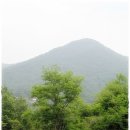 숲속유치원 이미지