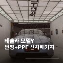 (주)블루윈드 | 위례 썬팅 PPF 테슬라 모델Y 신차 패키지 작업