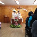 노체리안드리자애병원 이미지