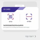 솔트 이미지