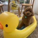 멍앤리치 이미지