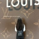 작지 | 여자 직장인 가방 추천 백팩 카디널레드 하우아백 검정 후기