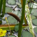 칠보중학교 이미지