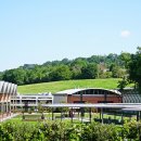 은나라약국 이미지