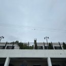 포레스트 173 이미지