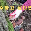 재목농장 네이버블로그