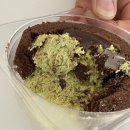 지에스25 하안으뜸 | 가격 칼로리 구매 시식 후기 맛평가 (Feat. 내돈내산 / 솔직후기 / 두쫀쿠 / 두바이쫀득쿠키 / 두바이...