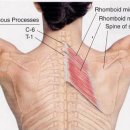 여성전용헬스장A 강서구청점 이미지