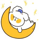 상상애몽 이미지
