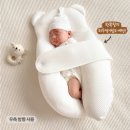 곰세탁 | 내돈내산 / 베로로 허그곰 옆잠베개 사용후기와 세탁방법
