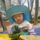 아이터어린이집 이미지