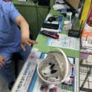 비비펫 동물병원 이미지