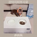 닥터아이펫 동물병원 | 동물병원처방사료 추천받아 급여해본 닥터독 베츠초이스 피부모질 플러스 사료