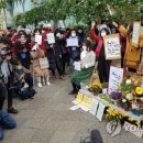 평화의안 이미지