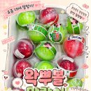 아트뉴스 - 영주시 중앙로95번길 7 | 아이랑 가기 좋은 마산 핫플, 아트뉴스 구경 후기 말랑이 성지 스퀴지 왁뿌볼 말랑이 다양한 곳 마산...