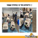 (주)펫에어라인 이미지