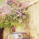 행복자동차관리 이미지