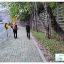 양곡교회 앞 이미지