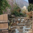 담장너머 이미지