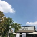 펠리스뻬로 | 용인 기흥 애견카페 펠리스뻬로