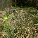 수원-2010 이미지