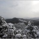 곡성-203 이미지