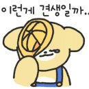 직이네참숯불애