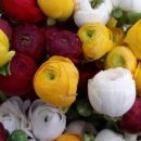 우적농장 이미지