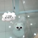 견상낙원 이미지