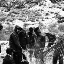 트립올라
