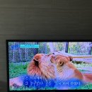 (유)도도랑