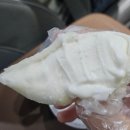 호랑이 | 부산 해운대 디저트 맛집 호랑이젤라떡 구매후기