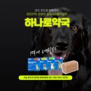 완도약국 이미지