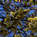 명심약국 이미지