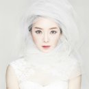 247스튜디오 이미지
