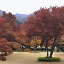 뮤지컬 그해가을 네이버블로그