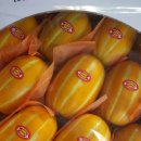 다현농장 이미지