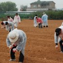 박수영농장 이미지