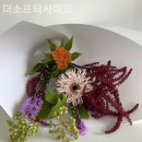 더소프터사이드