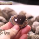 마시리 이미지
