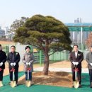대신체육공원 축구장 이미지