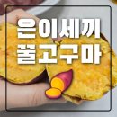 경일농장 | 내돈내산 은이세끼 민경일농장 꿀고구마 후기