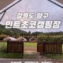 민트초코캠핑장 네이버블로그