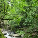 월악산 꽃피는 산골 이미지