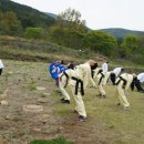 국선도 1 이미지