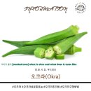 오크라 - 서귀포시 번영로 3189 | 오크라
