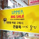 애완용품할인매장 도그버디-방이점 | 도그버디 8월행사 10%할인중!❤