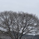 상거석마을회관 이미지