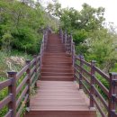 모사금해수욕장 이미지